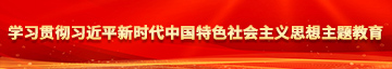 美女的小逼逼被操学习贯彻习近平新时代中国特色社会主义思想主题教育